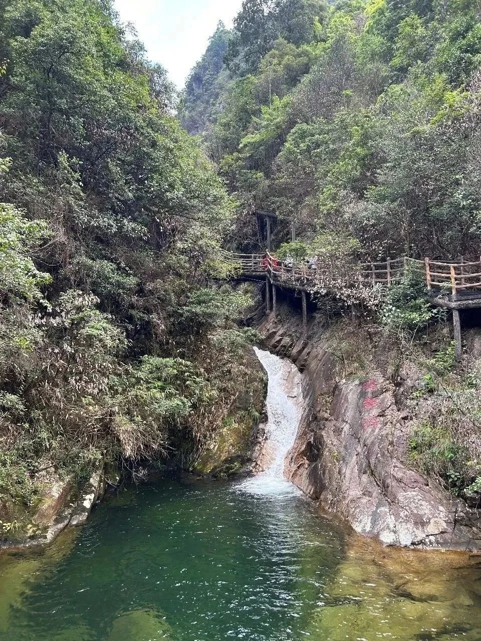 DƬ